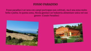 Fosso paradiso è un'area con campi purtroppo non coltivati, ma è una zona molto
bella e pulita. In questa zona, Nicola gestisce un’industria alimentare unica nel suo
genere (Casale Paradiso)
FOSSO PARADISO
 