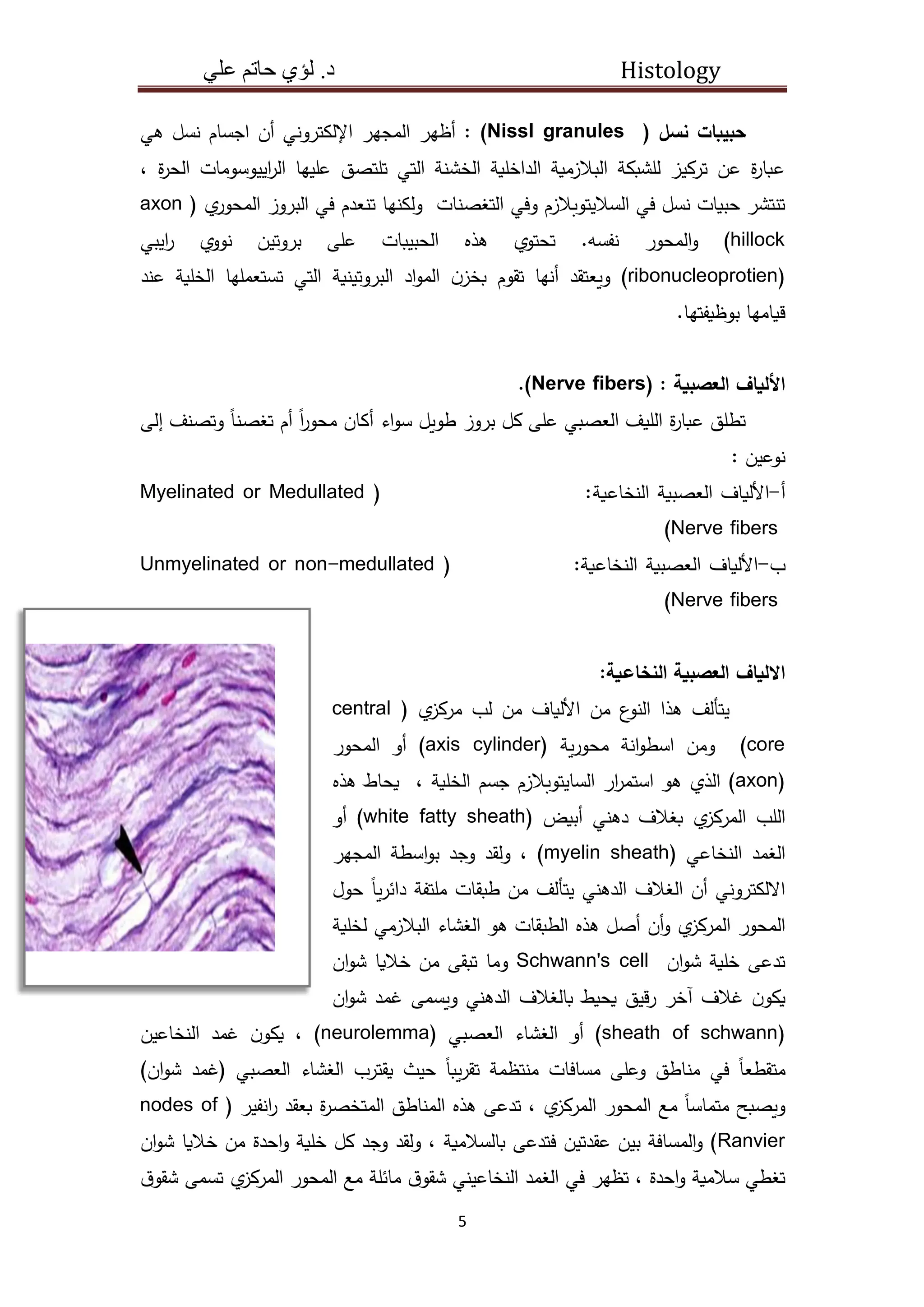 محاضرات الانسجة كاملة 2021-2022.pdf