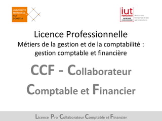 Licence Pro Collaborateur Comptable et Financier
 
