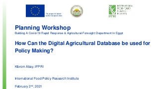This project is funded
by the European Union
Planning Workshop
Building A Covid-19 Rapid Response & Agricultural-Foresight Department In Egypt
How Can the Digital Agricultural Database be used for
Policy Making?
Kibrom Abay, IFPRI
International Food Policy Research Institute
February 2nd, 2021
 