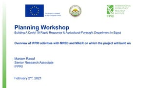 This project is funded
by the European Union
Planning Workshop
Building A Covid-19 Rapid Response & Agricultural-Foresight Department In Egypt
Overview of IFPRI activities with MPED and MALR on which the project will build on
Mariam Raouf
Senior Research Associate
IFPRI
February 2nd, 2021
 