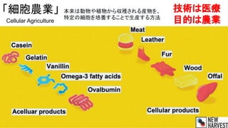 純肉：細胞培養による食料生産(2021版)