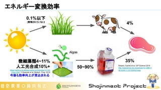 エネルギー変換効率
0.1%以下
(管理されていない)
微細藻類4~11%
人工光合成10%+
https://aiche.onlinelibrary.wiley.com/doi/abs/10.100
2/btpr.2941 Y.Okamoto...
