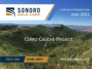CERRO CALICHE PROJECT
CORPORATE PRESENTATION
JUNE 2021
 