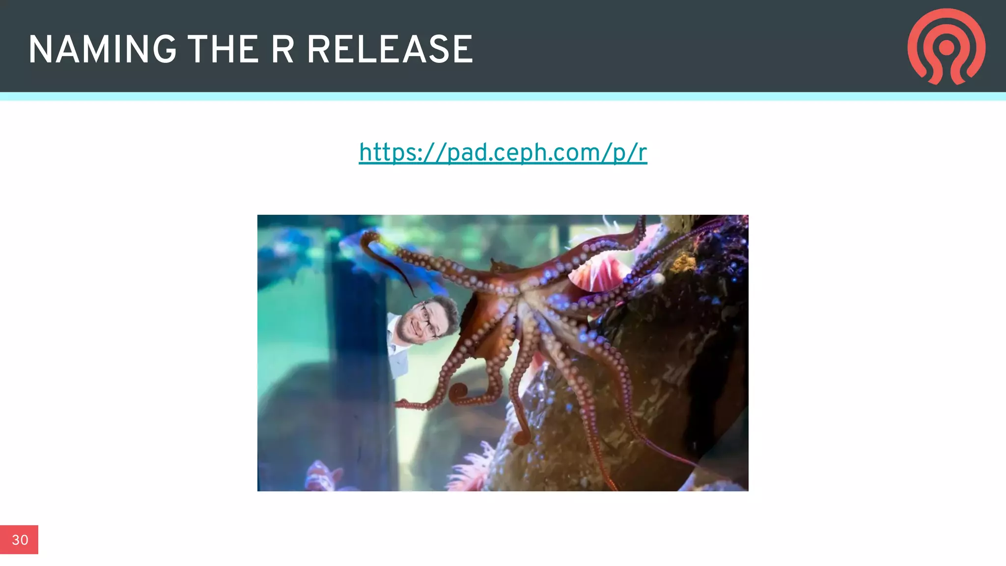 30
https://pad.ceph.com/p/r
NAMING THE R RELEASE
 