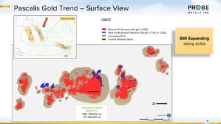 9
Pascalis Gold Trend – Surface View
Legend
New In-Pit Resource (Au g/t > 0.40)
New Underground Resource (Au g/t > 1.65 or 2.05)
Conceptual Pits
Former Beliveau Mine
PASCALIS TREND
DEPOSITS
M&I: 788,200 oz
Inf: 555,500 oz
N
Still Expanding
along strike
 