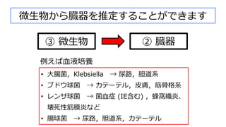 微⽣物から臓器を推定することができます
② 臓器
③ 微⽣物
例えば⾎液培養
• ⼤腸菌，Klebsiella → 尿路，胆道系
• ブドウ球菌 → カテーテル，⽪膚，筋⾻格系
• レンサ球菌 → 菌⾎症 (IE含む) ，蜂窩織炎、
壊死性筋膜炎など
• 腸球菌 → 尿路，胆道系，カテーテル
 