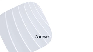 Anexe
 