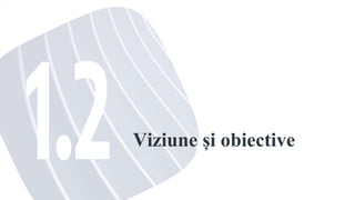 Viziune și obiective
 