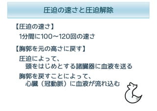 圧迫の速さと圧迫解除
【圧迫の速さ】
1分間に100∼120回の速さ
【胸郭を元の⾼さに戻す】
圧迫によって、
頭をはじめとする諸臓器に⾎液を送る
胸郭を戻すことによって、
⼼臓（冠動脈）に⾎液が流れ込む
 