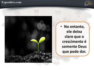 • No entanto,
ele deixa
claro que o
crescimento é
somente Deus
que pode dar.
 