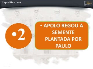 •2
• APOLO REGOU A
SEMENTE
PLANTADA POR
PAULO
 