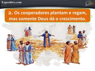 2. Os cooperadores plantam e regam,
mas somente Deus dá o crescimento.
 