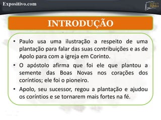 INTRODUÇÃO
INTRODUÇÃO
• Paulo usa uma ilustração a respeito de uma
plantação para falar das suas contribuições e as de
Apolo para com a igreja em Corinto.
• O apóstolo afirma que foi ele que plantou a
semente das Boas Novas nos corações dos
coríntios; ele foi o pioneiro.
• Apolo, seu sucessor, regou a plantação e ajudou
os coríntios e se tornarem mais fortes na fé.
 