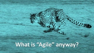 What is “Agile” anyway?
 