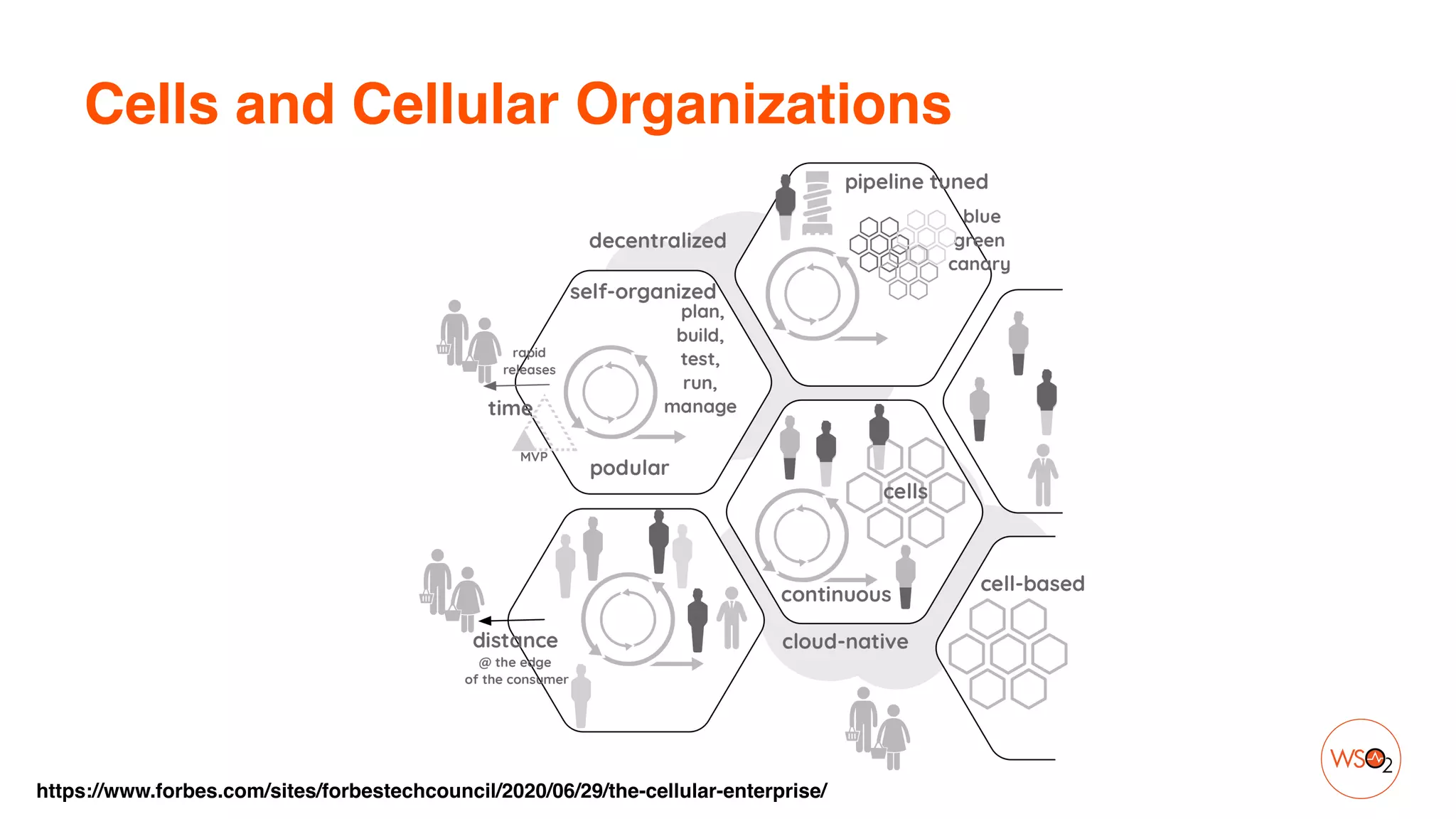 Cells and Cellular Organizations
https://www.forbes.com/sites/forbestechcouncil/2020/06/29/the-cellular-enterprise/
 