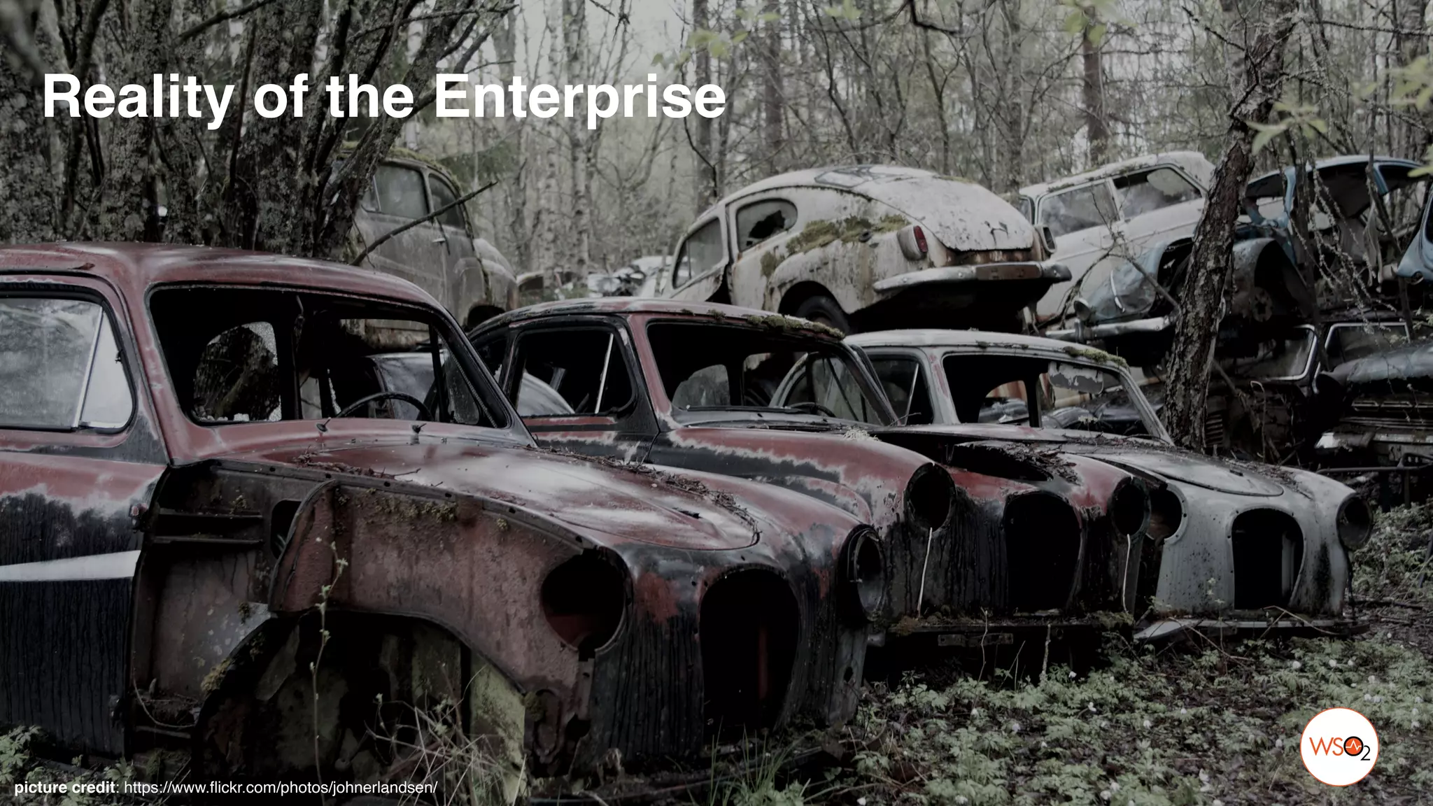 picture credit: https://www.flickr.com/photos/johnerlandsen/
Reality of the Enterprise
 