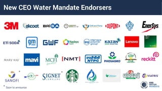 2021-CEO-Water-Mandate-AGM-Presentation (1).pptx