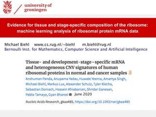 Evidence for tissue and stage-specific composition of the ribosome:
machine learning analysis of ribosomal protein mRNA data
June 2020
Michael Biehl www.cs.rug.nl/~biehl m.biehl@rug.nl
Bernoulli Inst. for Mathematics, Computer Science and Artificial Intelligence
 