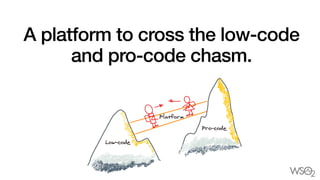 A platform to cross the low-code
and pro-code chasm.
 