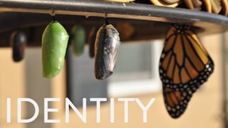 IDENTITY
 