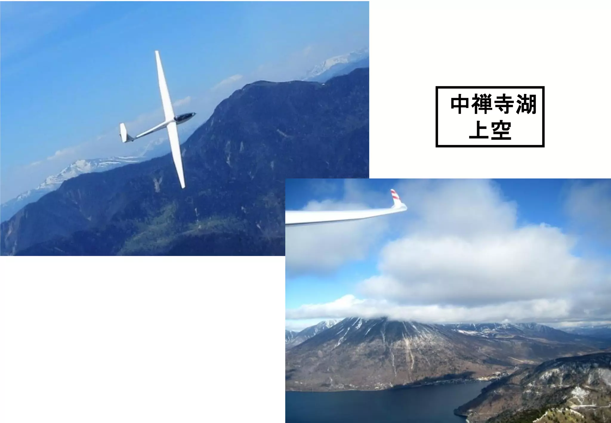 Slide 229