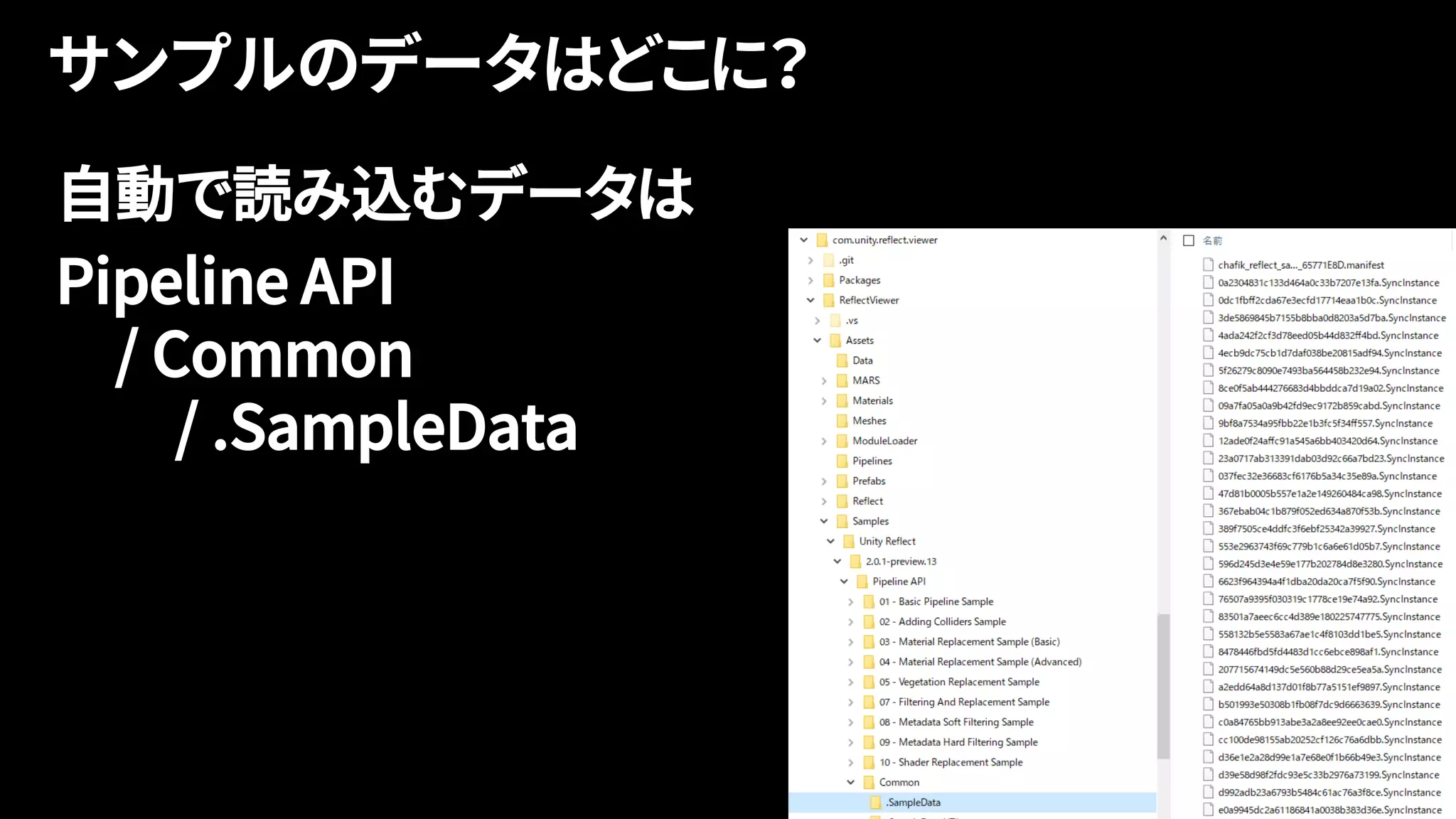 自動で読み込むデータは
Pipeline API
/ Common
/ .SampleData
 