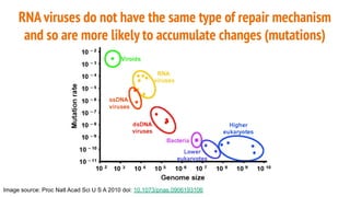 RNA viruses do not have the same type of repair mechanism
and so are more likely to accumulate changes (mutations)
Image source: Proc Natl Acad Sci U S A 2010 doi: 10.1073/pnas.0906193106
 