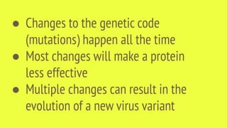 ● Changes to the genetic code
(mutations) happen all the time
● Most changes will make a protein
less effective
● Multiple changes can result in the
evolution of a new virus variant
 