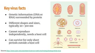 Key virus facts
Source:https://www.open.edu/openlearn/science-maths-technology/biology/what-virus
● Genetic information (DNA or
RNA) surrounded by protein
● Different shapes and sizes,
typically 20–300 nm
● Cannot reproduce
independently, needs a host cell
● Can survive for only short
periods outside a host cell
 