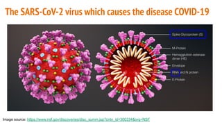 The SARS-CoV-2 virus which causes the disease COVID-19
Image source: https://www.nsf.gov/discoveries/disc_summ.jsp?cntn_id=300334&org=NSF
 