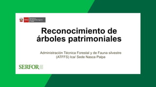 Reconocimiento de
árboles patrimoniales
Administración Técnica Forestal y de Fauna silvestre
(ATFFS) Ica/ Sede Nasca Palpa
 