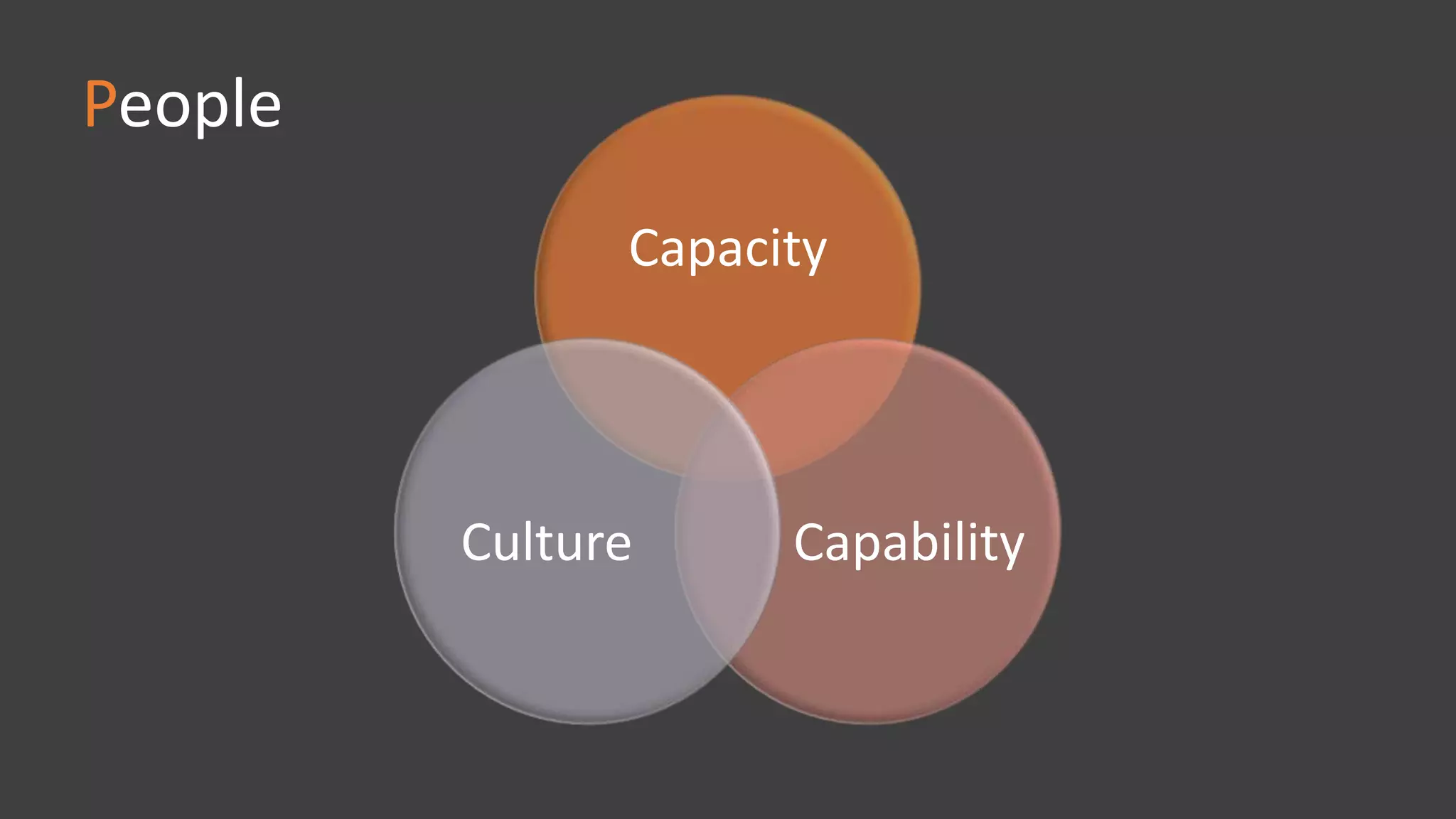 People
Capacity
Capability
Culture
 