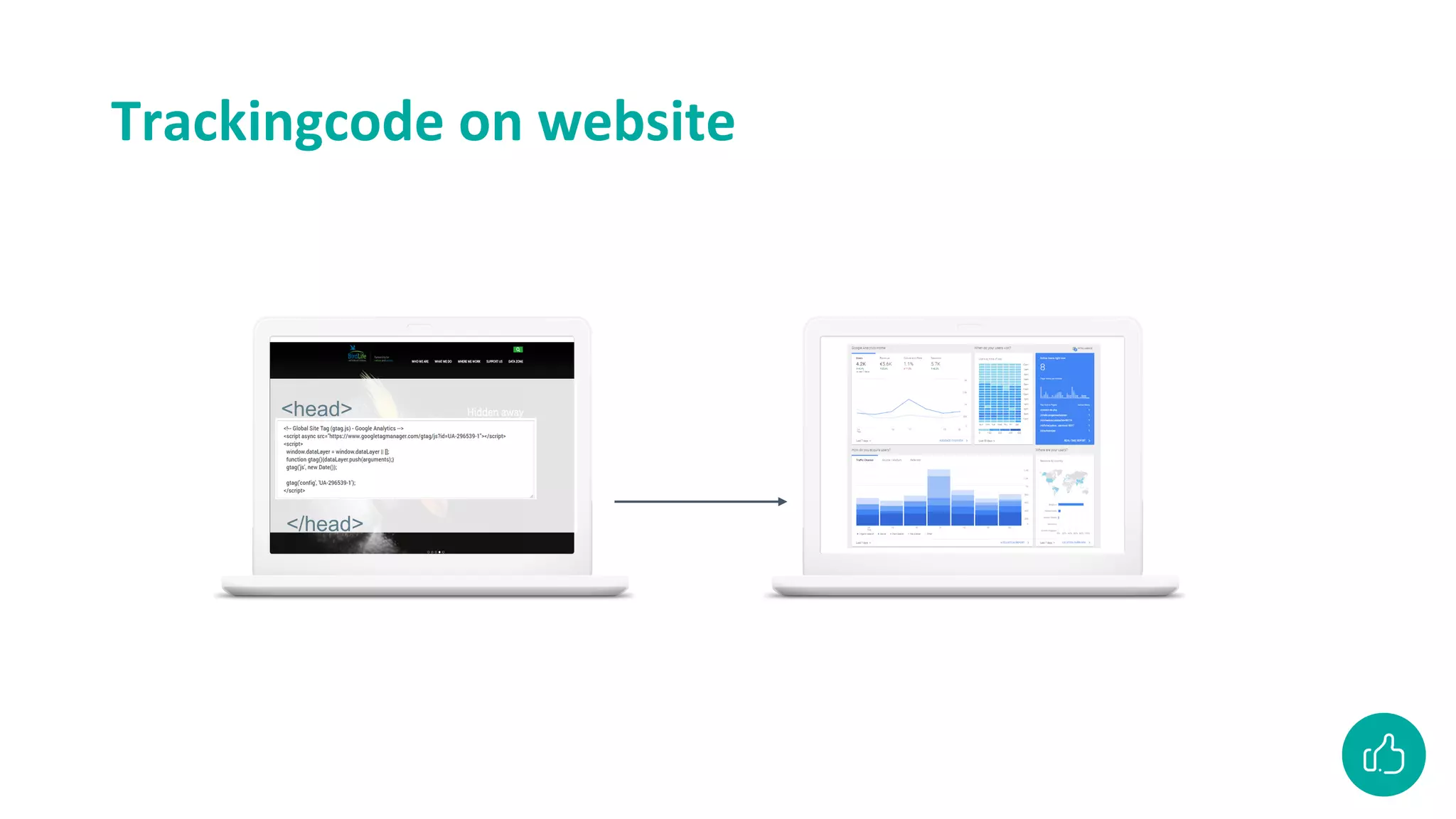 Trackingcode on website
<head>
</head>
 