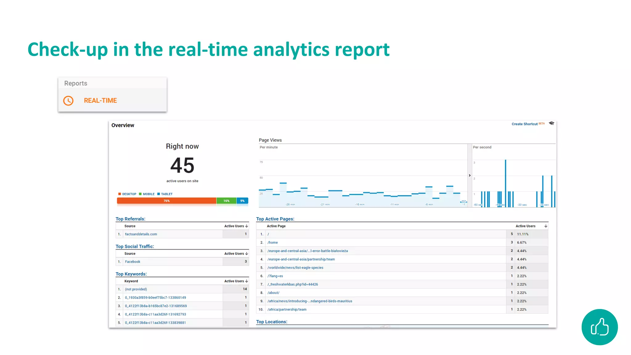 Check-up in the real-time analytics report
 