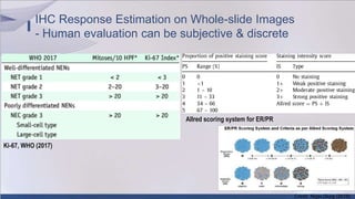 AI-powered Medical Imaging Analysis for Precision Medicine | PPTX