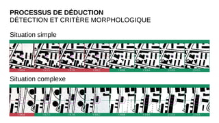 PROCESSUS DE DÉDUCTION
DÉTECTION ET CRITÈRE MORPHOLOGIQUE
Situation simple
Situation complexe
 