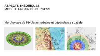 ASPECTS THÉORIQUES
MODÈLE URBAIN DE BURGESS
Morphologie de l’évolution urbaine et dépendance spatiale
 