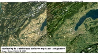 Monitoring de la sécheresse et de son impact sur la vegetation
Gregory Giuliani [UNIGE & GRID]
 