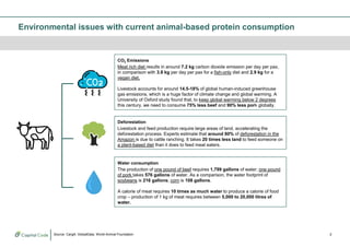 Plant-based protein market in Asia