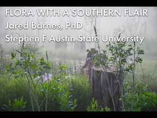 FLORA WITH A SOUTHERN FLAIR


Jared Barnes, PhD


Stephen F Austin State University


 