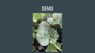 DEMO
 