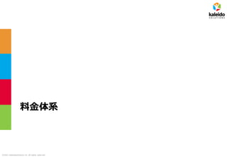 ©2021 kaleidosolutions inc. all rights reserved
料金体系
 