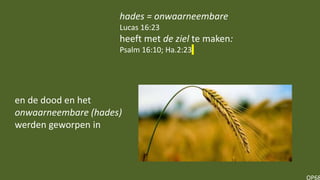 OP68
hades = onwaarneembare
Lucas 16:23
heeft met de ziel te maken:
Psalm 16:10; Ha.2:23
en de dood en het
onwaarneembare (hades)
werden geworpen in
 