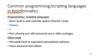 Data processing and visualization basics | PPTX