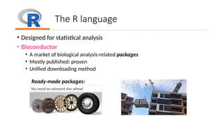 Data processing and visualization basics | PPTX
