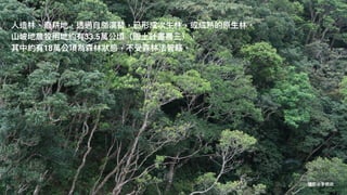 ⼈造林、廢耕地，透過⾃然演替，已形成次⽣林，或成熟的原⽣林。
⼭坡地農牧⽤地約有33.5萬公頃（國⼟計畫農三），
其中約有18萬公項為森林狀態，不受森林法管轄。
攝影@李根政
 