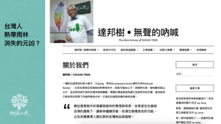 ⾺ 來 ⻄ 亞 砂 拉 越 拓 展 替 代 ⽣ 活 協 會
（IDEAL, Institute For Development of
Alternative Living），黃孟祚牧師。
台灣⼈
熱帶雨林
消失的元凶？
 