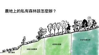 慣⾏農業
友善/永續農業
經濟林/認證
次⽣林/原⽣林
農地上的私有森林該怎麼辦？
 