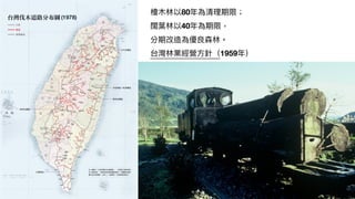 (1978)
檜⽊林以80年為清理期限；

闊葉林以40年為期限，
分期改造為優良森林。
台灣林業經營⽅針（1959年）
 